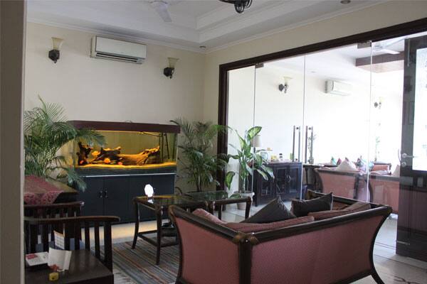 Saket Bed and Breakfast, New Delhi 4
